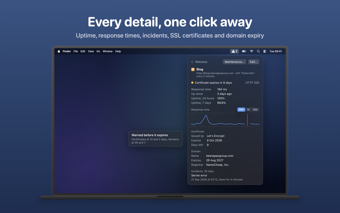 Web Ping site details: uptime, response times and certificate expiry