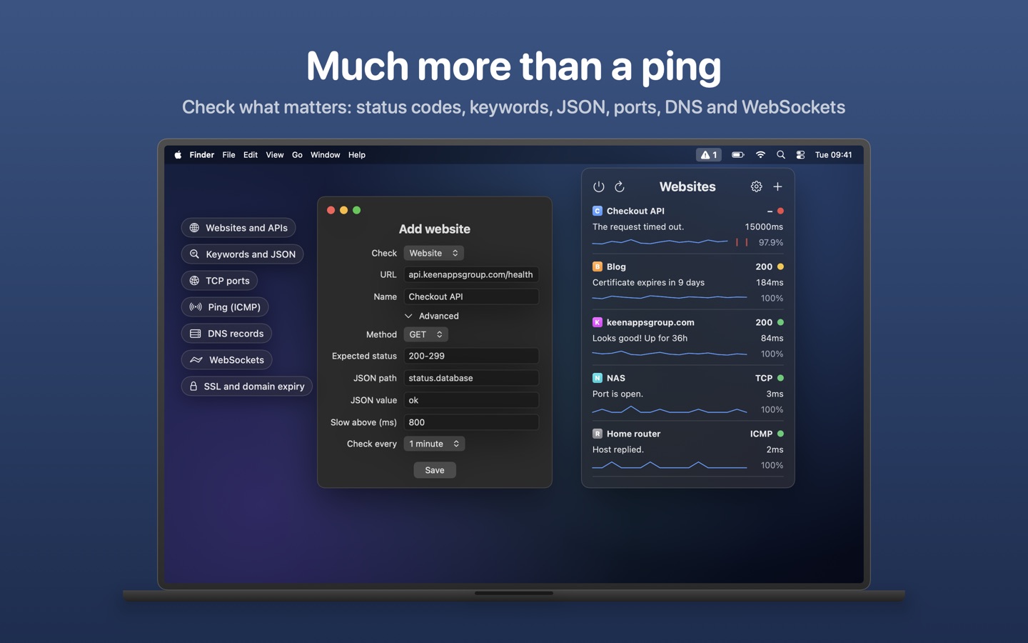 Web Ping check types: HTTP, keywords, JSON, TCP, ping, DNS and WebSocket